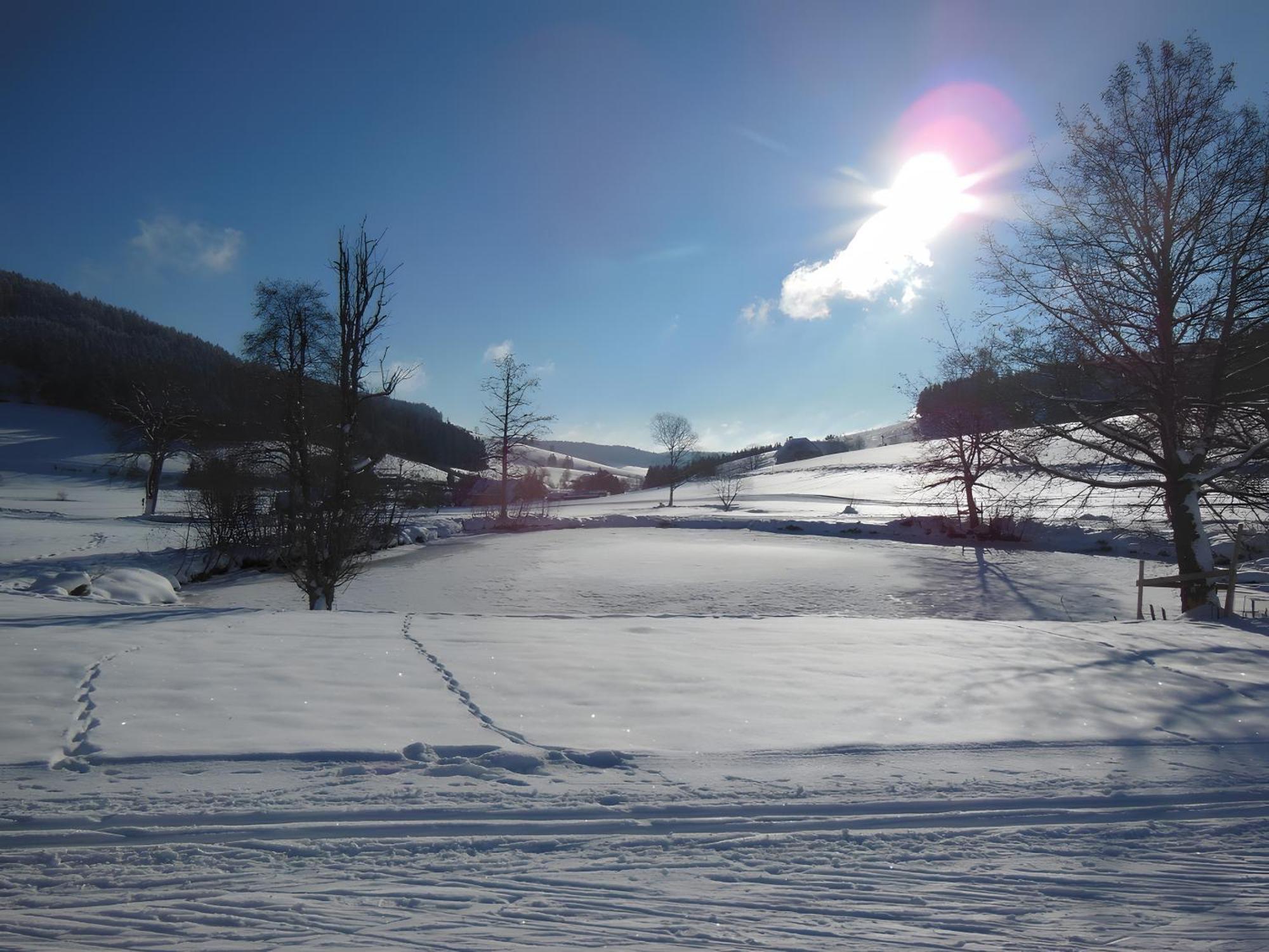 Ferienhaus Kaltenbach Titisee-Neustadt Buitenkant foto