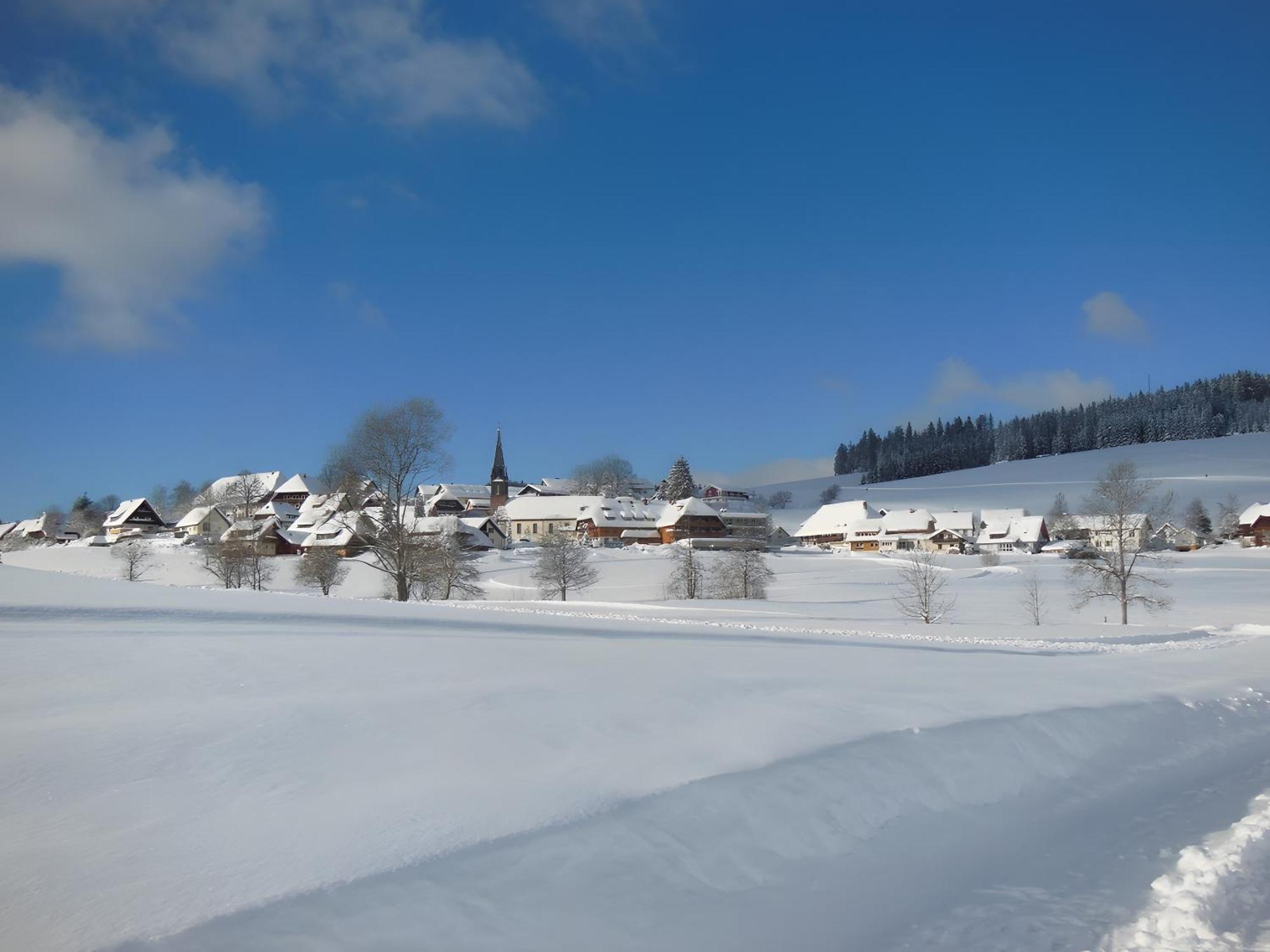 Ferienhaus Kaltenbach Titisee-Neustadt Buitenkant foto
