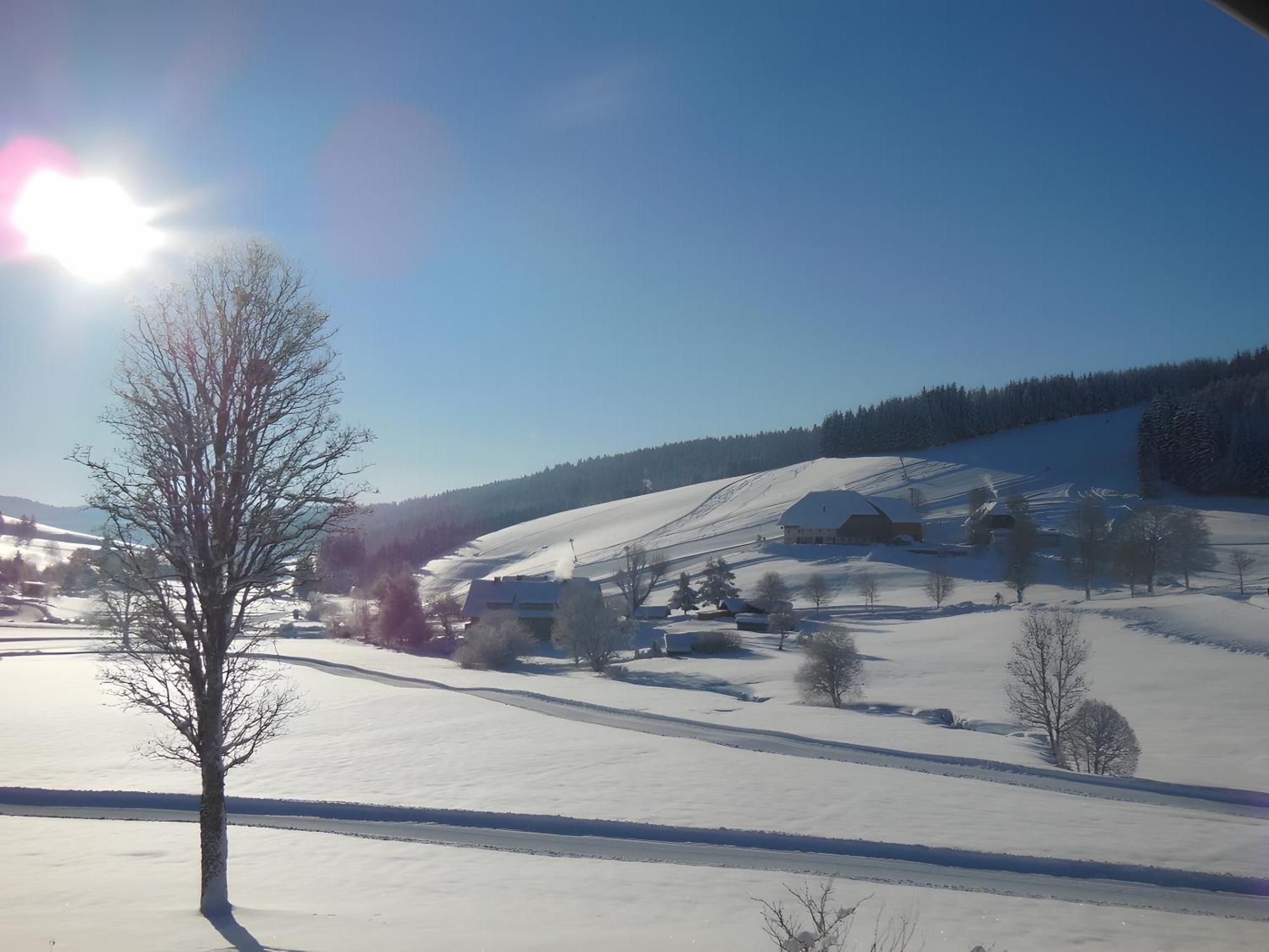 Ferienhaus Kaltenbach Titisee-Neustadt Buitenkant foto