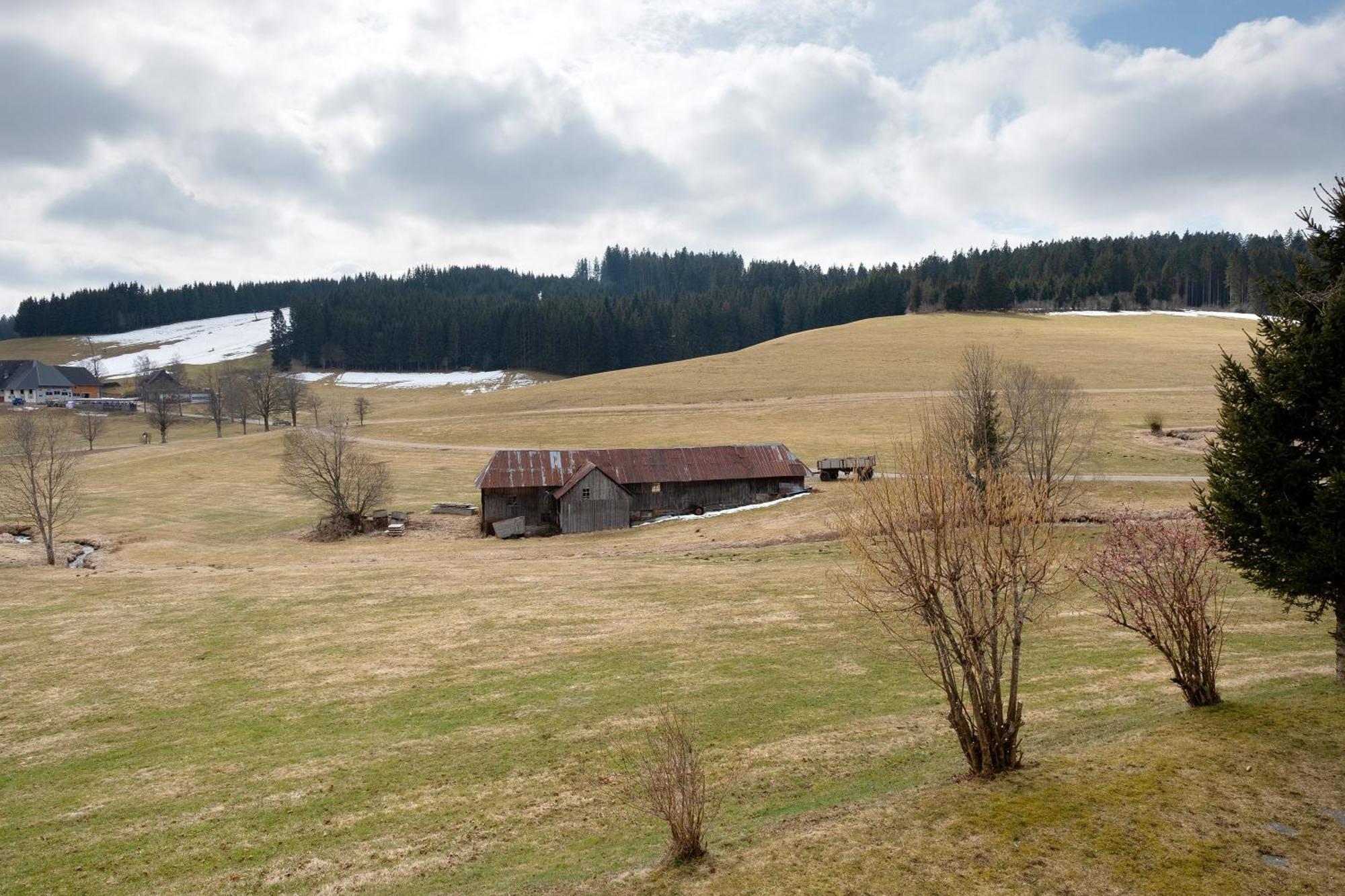 Ferienhaus Kaltenbach Titisee-Neustadt Buitenkant foto