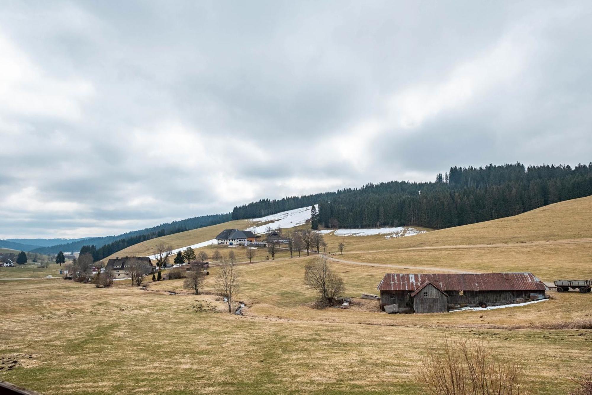 Ferienhaus Kaltenbach Titisee-Neustadt Buitenkant foto