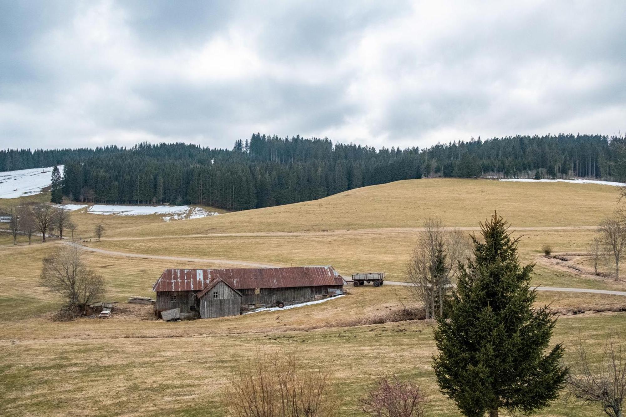 Ferienhaus Kaltenbach Titisee-Neustadt Buitenkant foto