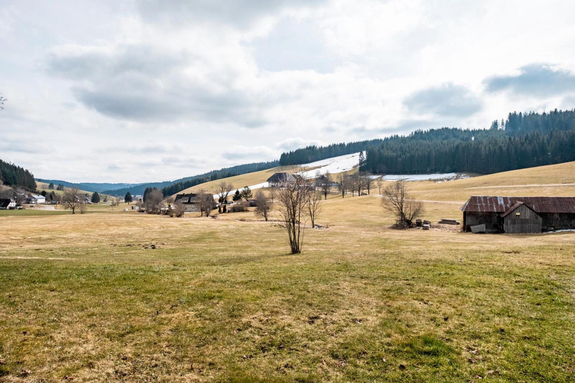 Ferienhaus Kaltenbach Titisee-Neustadt Buitenkant foto
